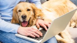 Apartmanda ve Evde Beslenebilen Köpek Türleri